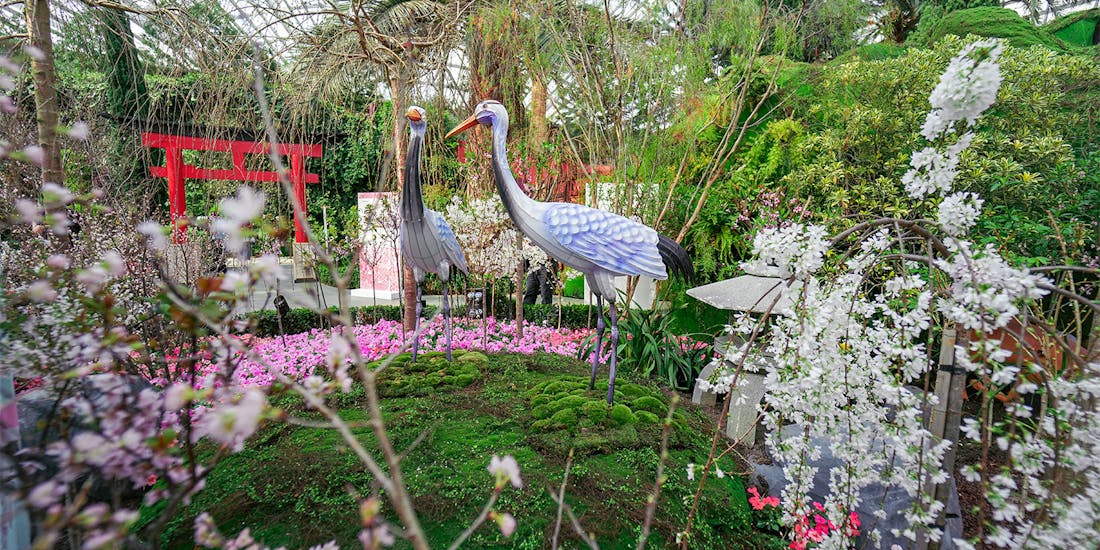 Gardens by the Bay Singapore with tram, Flower Dome, and Cloud Forest attractions.