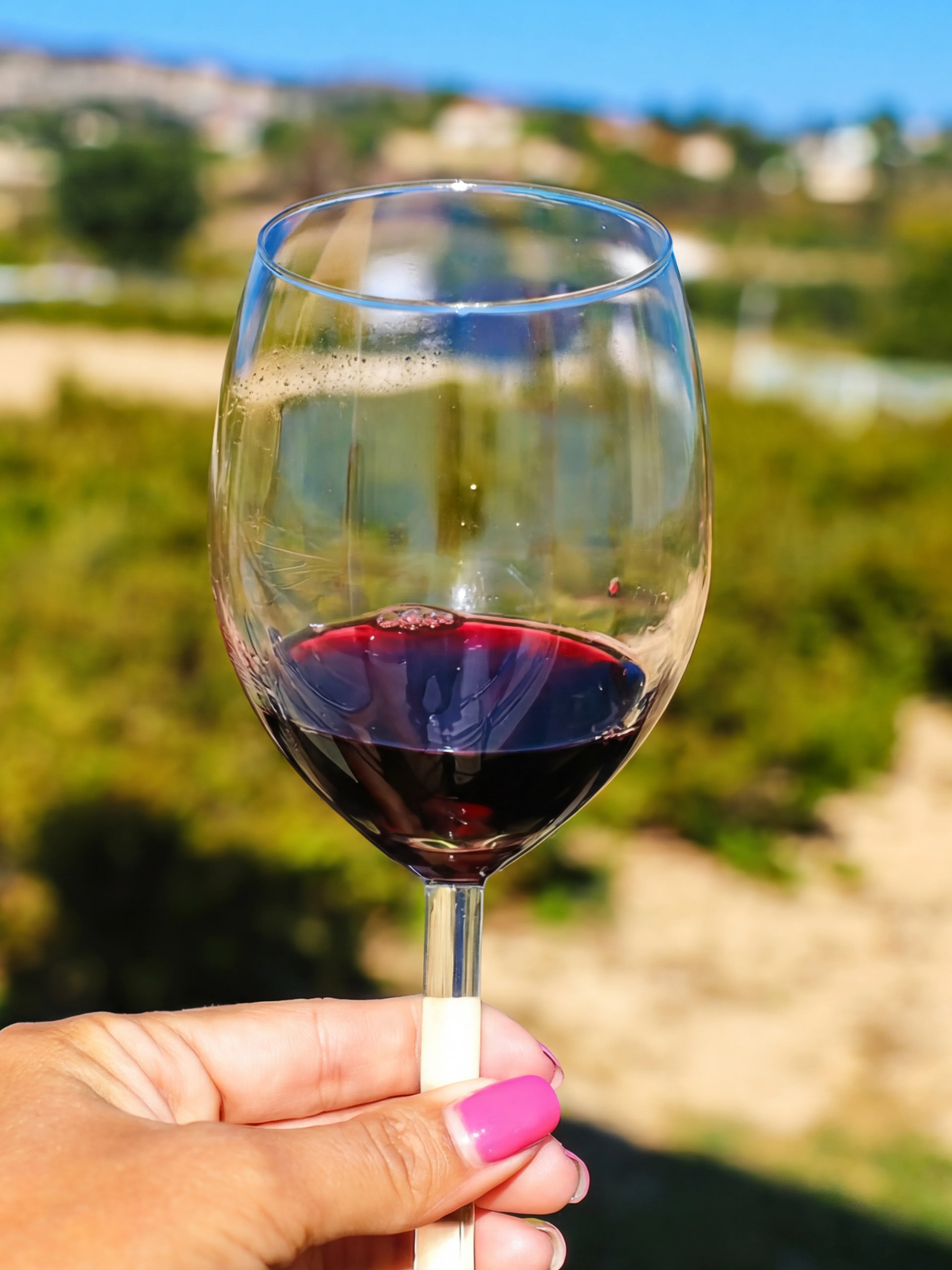 Wine glass held in vineyard during Troodos Mountains gourmet tour from Paphos.
