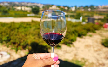 From Paphos: Troodos Mountains Gourmet Tour with Local Flavors & Wine