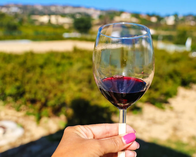 From Paphos: Troodos Mountains Gourmet Tour with Local Flavors & Wine
