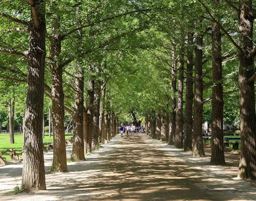 Nami Island