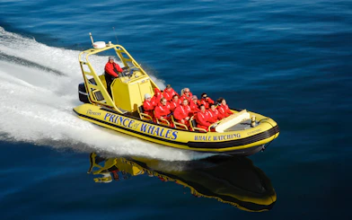 High-speed inflatable boat with passengers on a whale watching tour.
