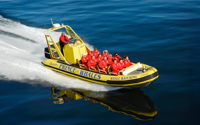 High-speed inflatable boat with passengers on a whale watching tour.
