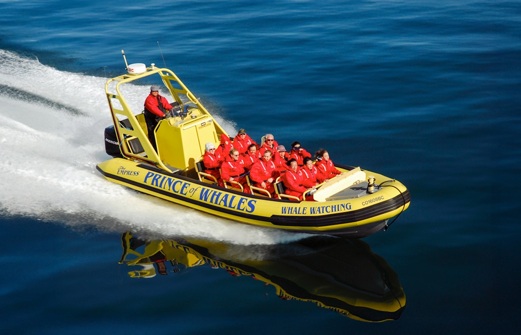 High-speed open-top inflatable boat on a whale watching tour in Victoria, Canada.