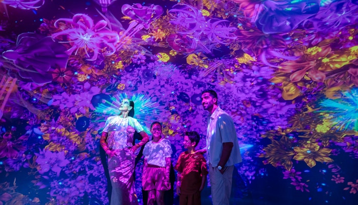 Family at the Outland zone, AYA Universe