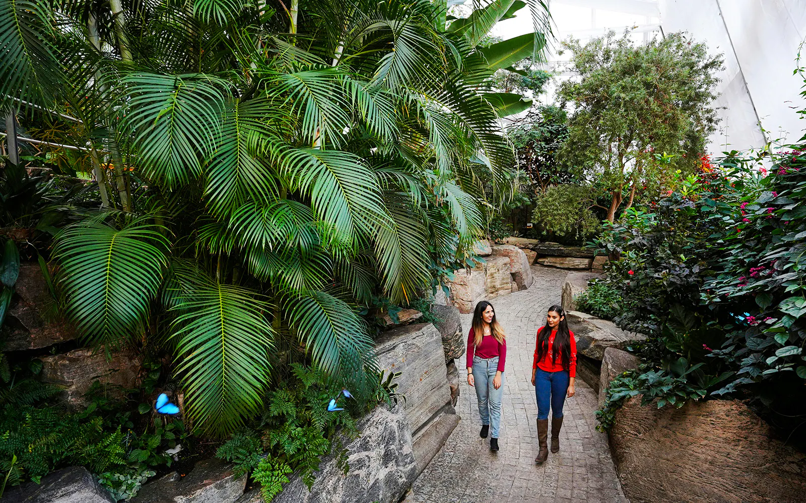Visitors walking through lush greenery at the Butterfly Conservatory, Niagara Falls, Canada.