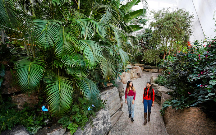 Visitors walking through lush greenery at the Butterfly Conservatory, Niagara Falls, Canada.