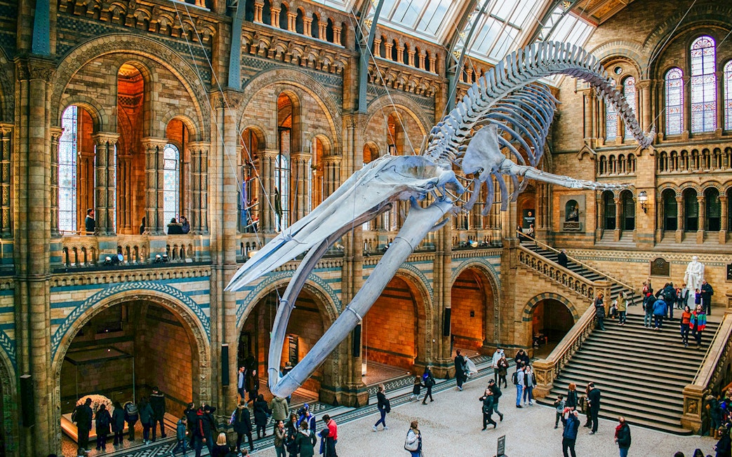 Whale skeleton in Natural History Museum gallery, London, with visitors exploring.