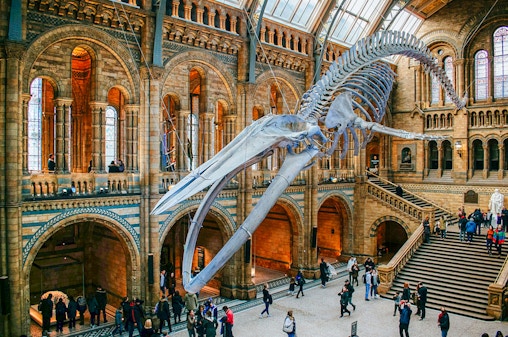Natural History Museum Reserverad entré Biljett & Audio Tour