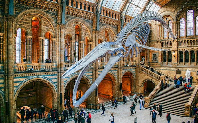 Whale skeleton in Natural History Museum gallery, London, with visitors exploring.