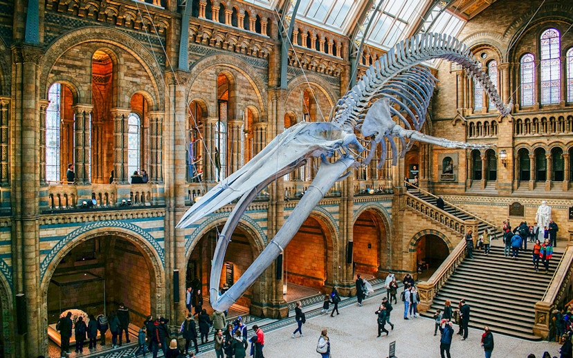 Whale skeleton in Natural History Museum gallery, London, with visitors exploring.