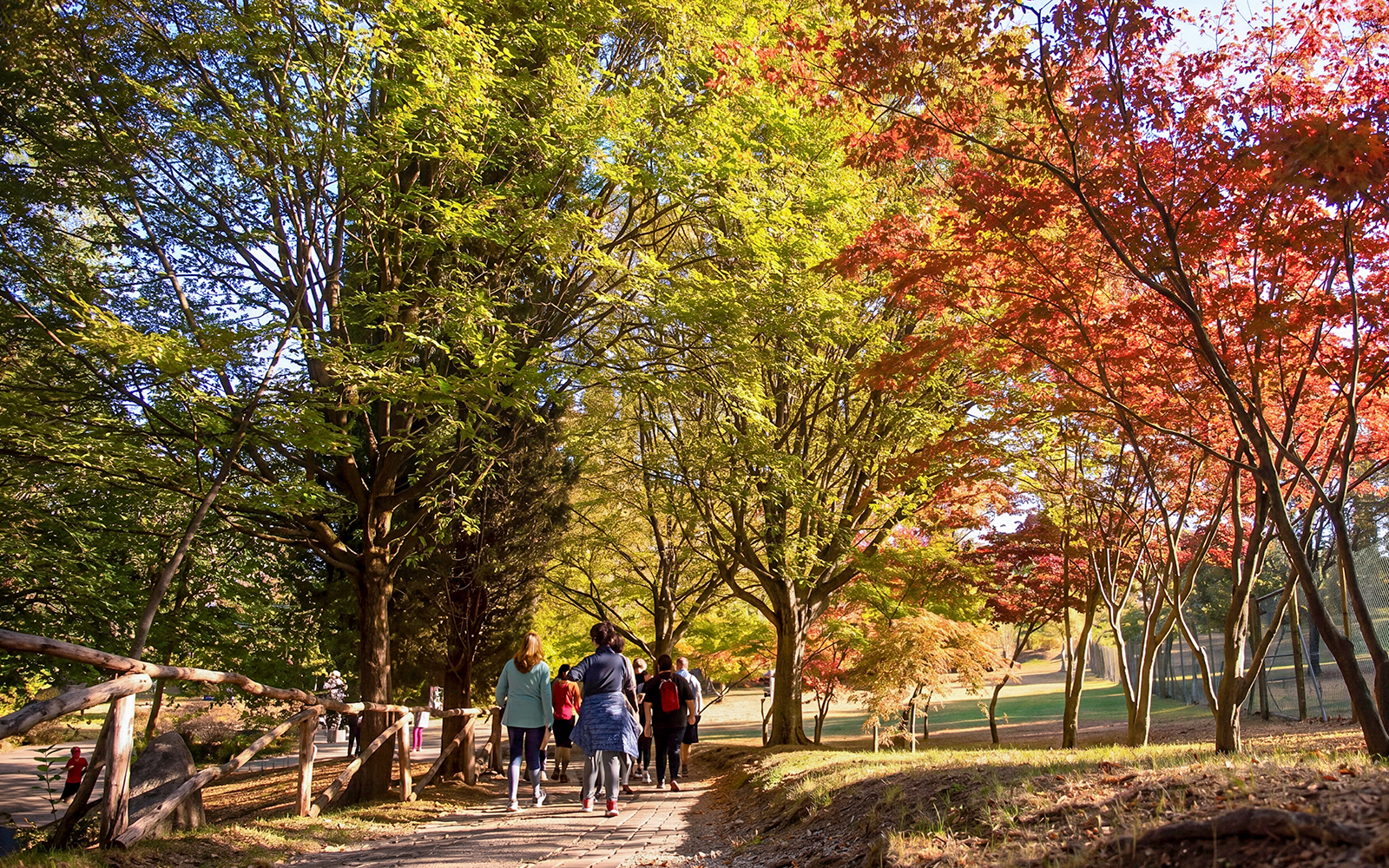 Visitors walking through autumn foliage at Parco Giardino Sigurtà, Italy.