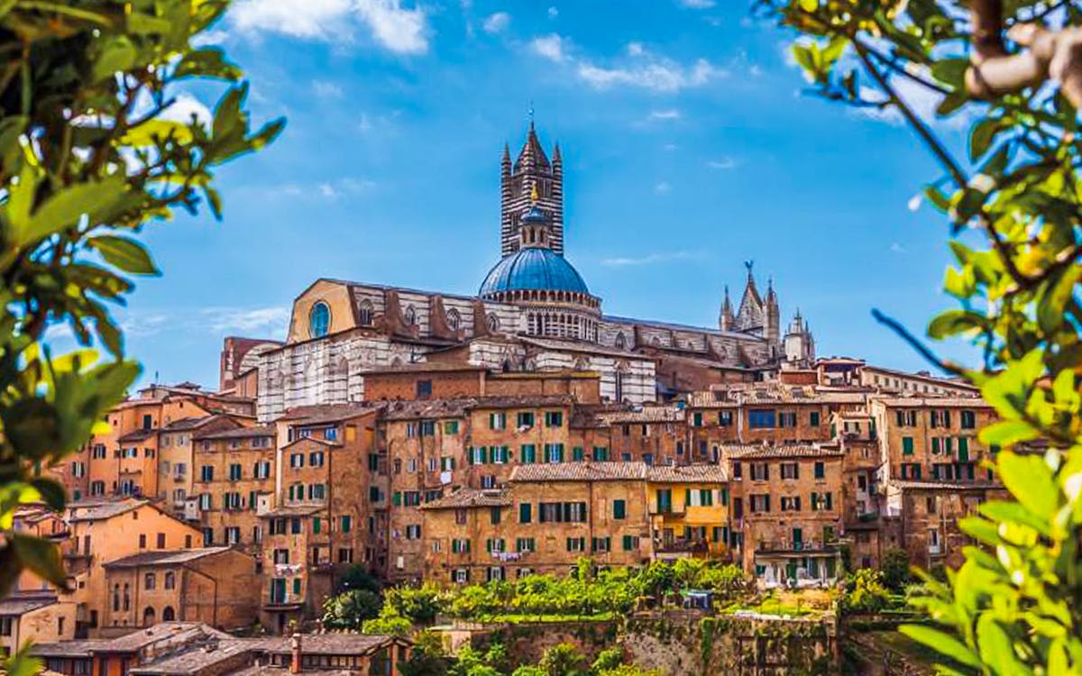 tour of siena, san gimignano, monteriggioni and chianti wine tasting from florence-21 tour of siena, san gimignano, monteriggioni and chianti wine tasting from florence-21