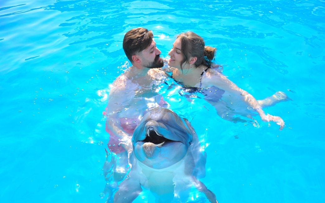 Couple swimming with dolphin at Egypt Dolphin World, Hurghada.