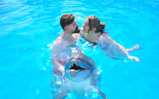 Couple swimming with dolphin at Egypt Dolphin World, Hurghada.