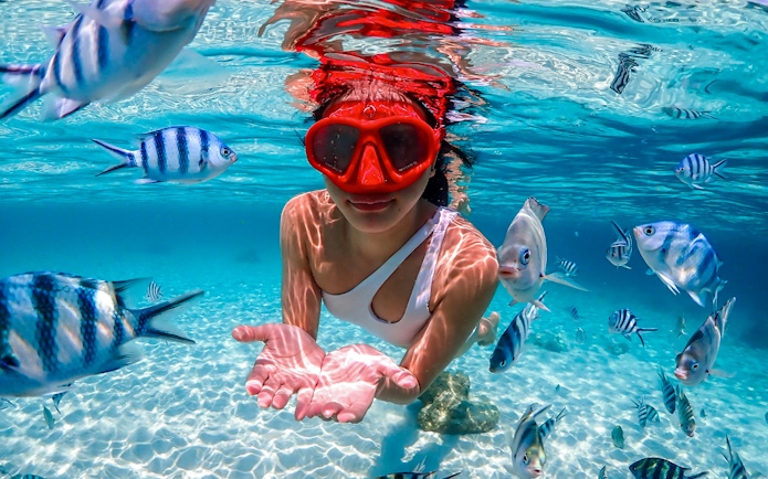 Snorkeler surrounded by tropical fish at Nemo Island, Thailand.