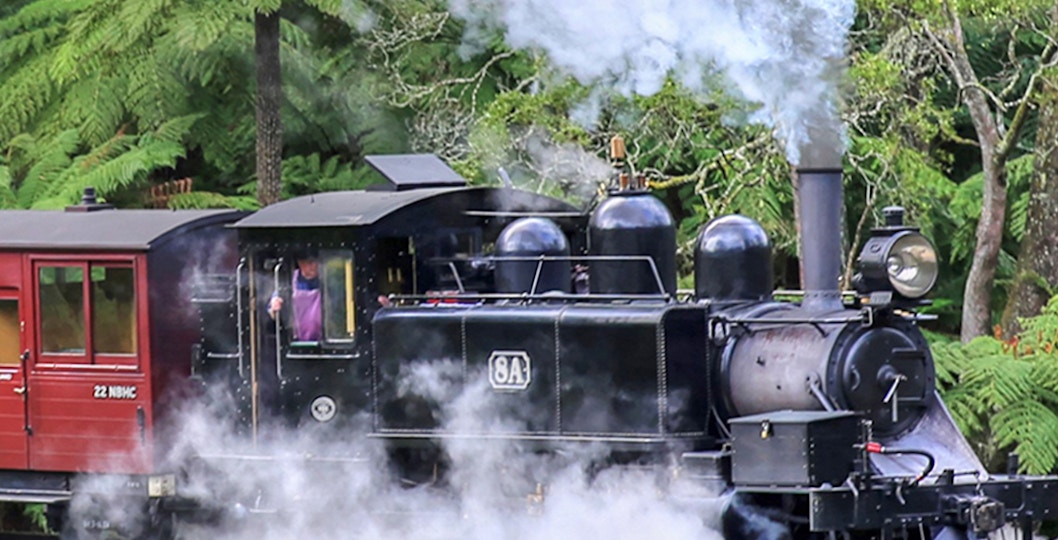 Puffing Billy steam train crossing trestle bridge in lush forest, part of Puffing Billy and Phillip Island Penguin Parade Bus Tour.