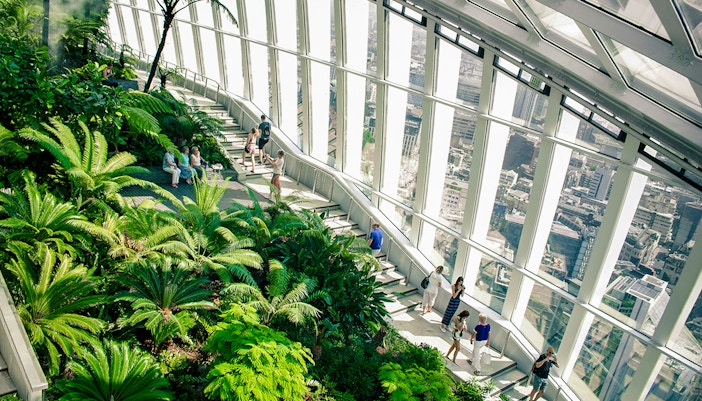 Sky Garden London interior with lush greenery and city views through large windows.