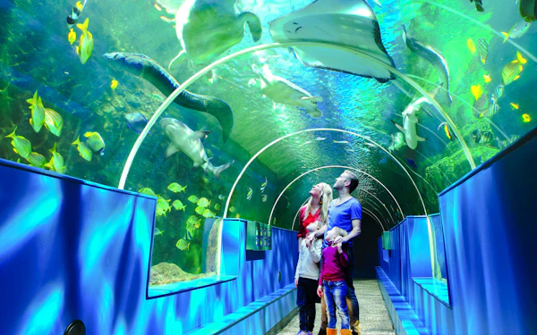 Oceanarium: The Bournemouth Aquarium Tickets