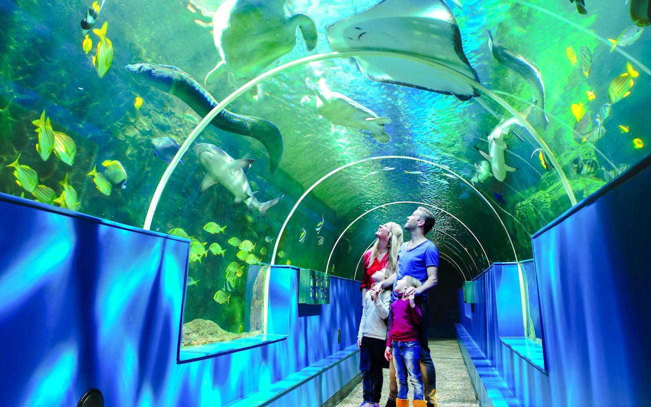 Family walking through aquarium tunnel at Bournemouth Oceanarium, surrounded by fish and marine life.