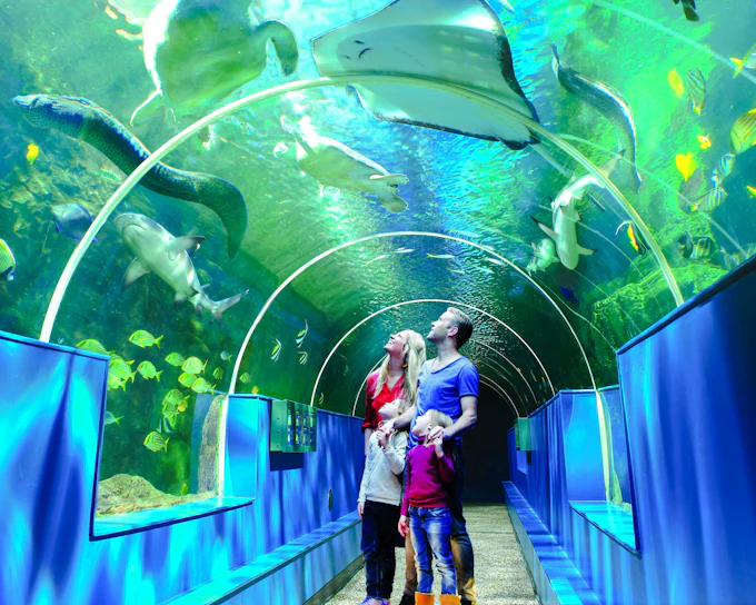 Oceanarium: The Bournemouth Aquarium Tickets