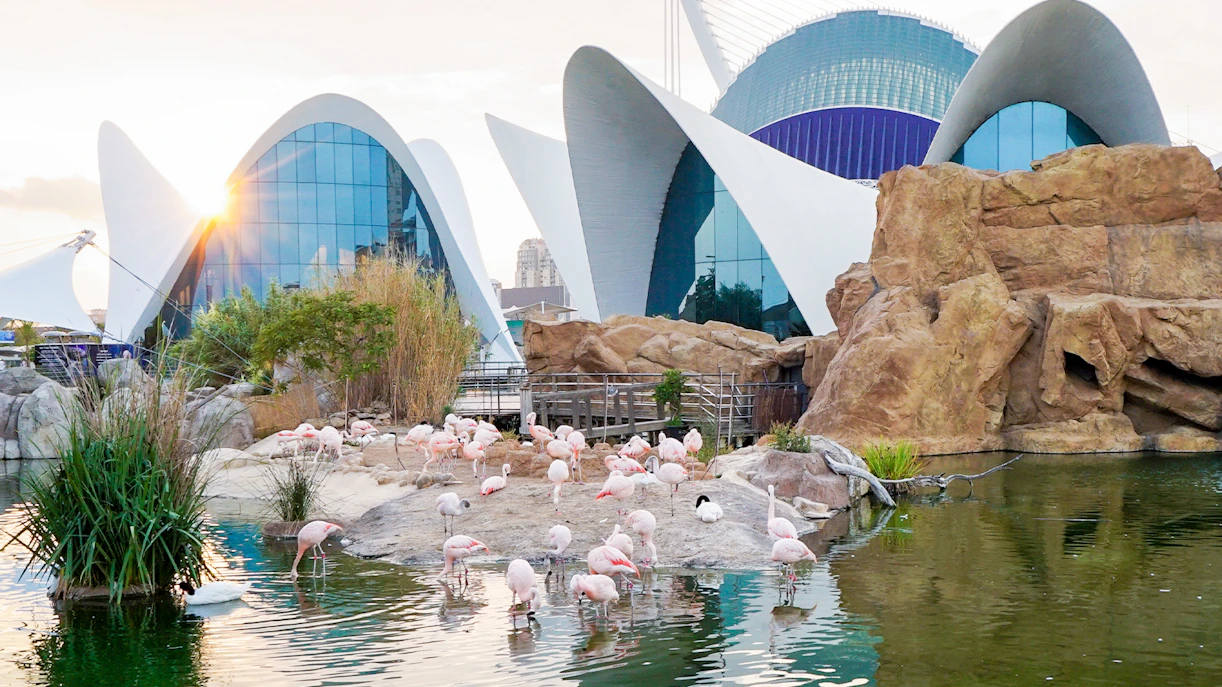 Oceanogràfic Valencia