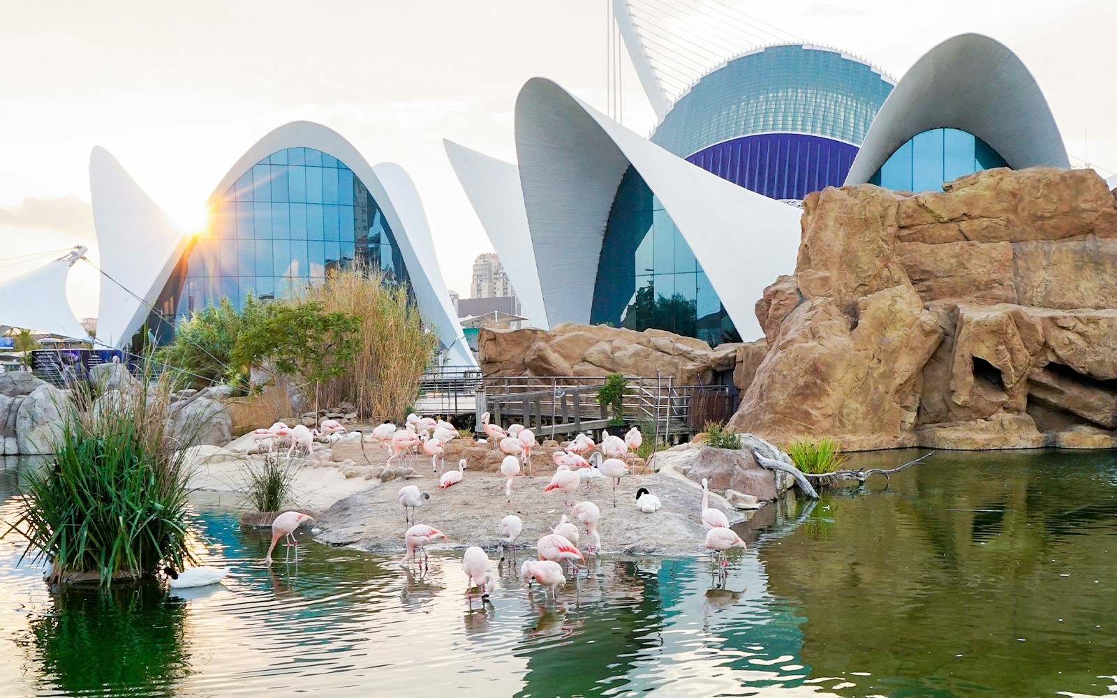 Oceanogràfic Valencia