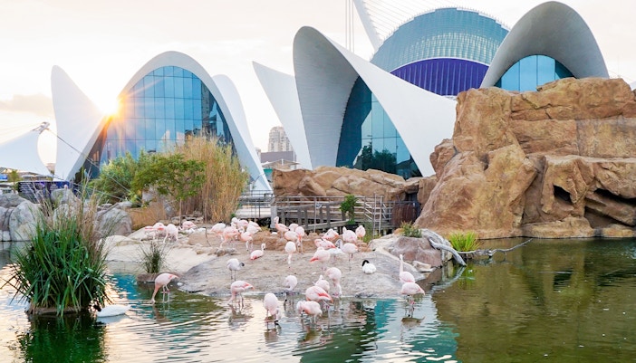 Oceanogràfic Valencia Tickets