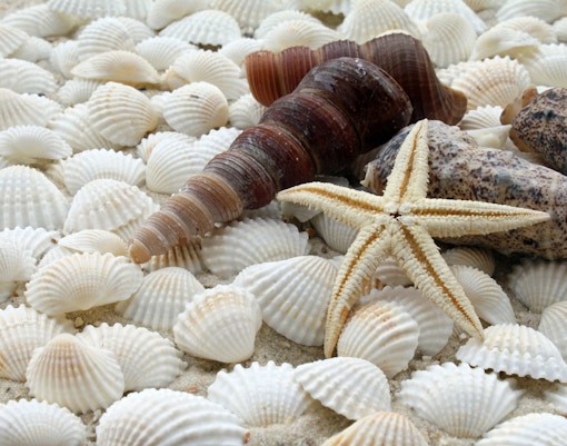 Savor a delightful break at SEA LIFE Berlin