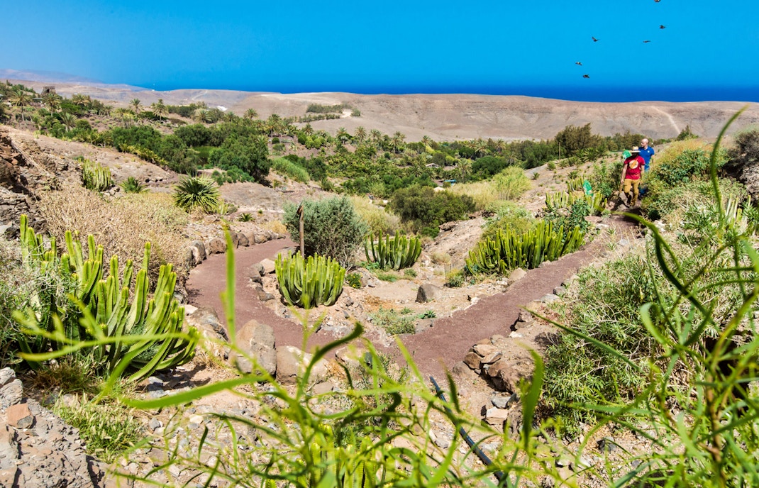 Oasis Wildlife Fuerteventura Tickets