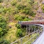 Den natursköna tågresan till Kuranda