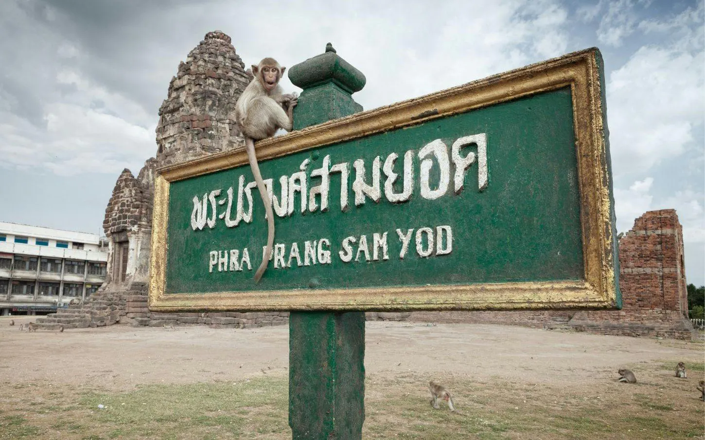 Monkey on Phra Prang Sam Yod sign at Lopburi Monkey Temple, Thailand.