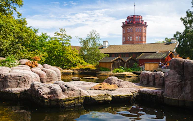 Vasa Museum Private Guided Tour with Skip-the-Line Entry and Optional Skansen Visit