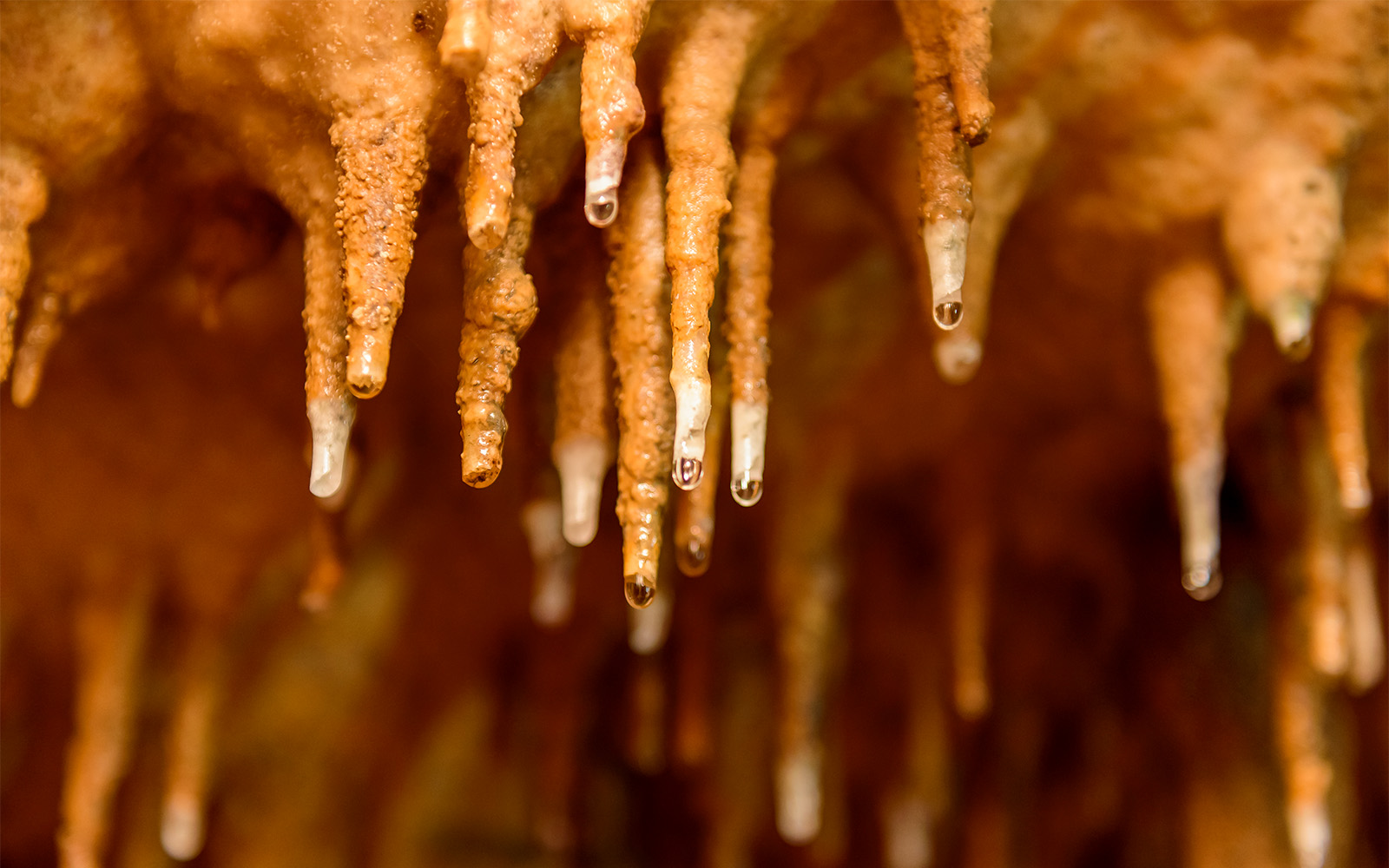 Sanctuary in the Wind Caves