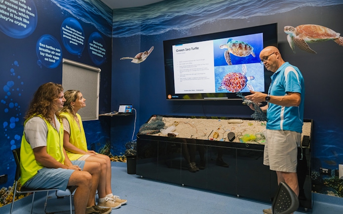 Interactive marine life presentation at Cairns Aquarium with focus on green sea turtles.