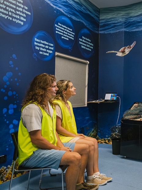 Interactive marine life presentation at Cairns Aquarium with focus on green sea turtles.