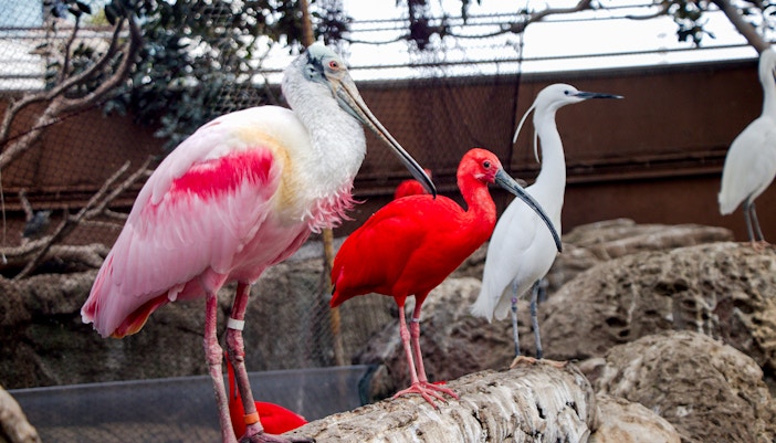 Oceanografic Valencia lakes