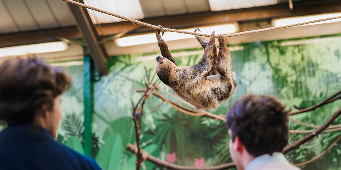 Edinburgh Zoo