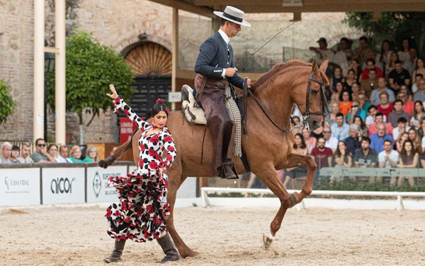 Equestrian Show