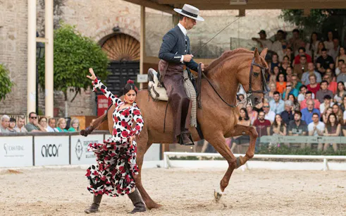 concours hippique-1