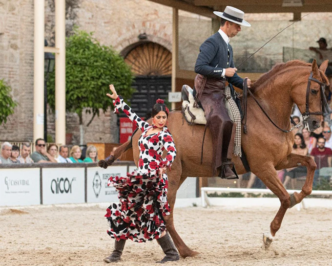 Equestrian Show