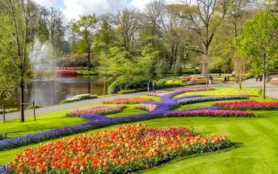 Keukenhof Gardens with colorful tulip beds and a pond, Amsterdam bus tour.