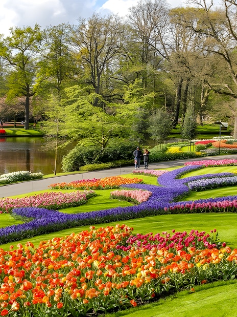 Keukenhof Gardens with colorful tulip beds and a pond, Amsterdam bus tour.