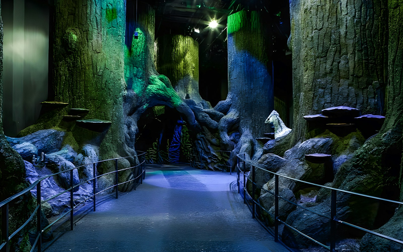 Pathway through the Forbidden Forest set with large trees and mystical lighting.