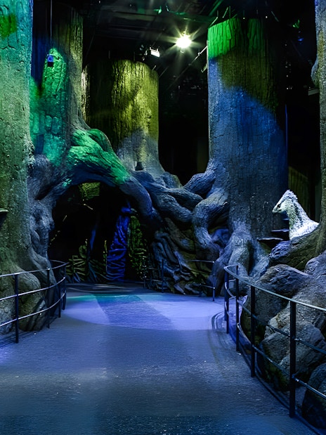 Pathway through the Forbidden Forest set with large trees and mystical lighting.