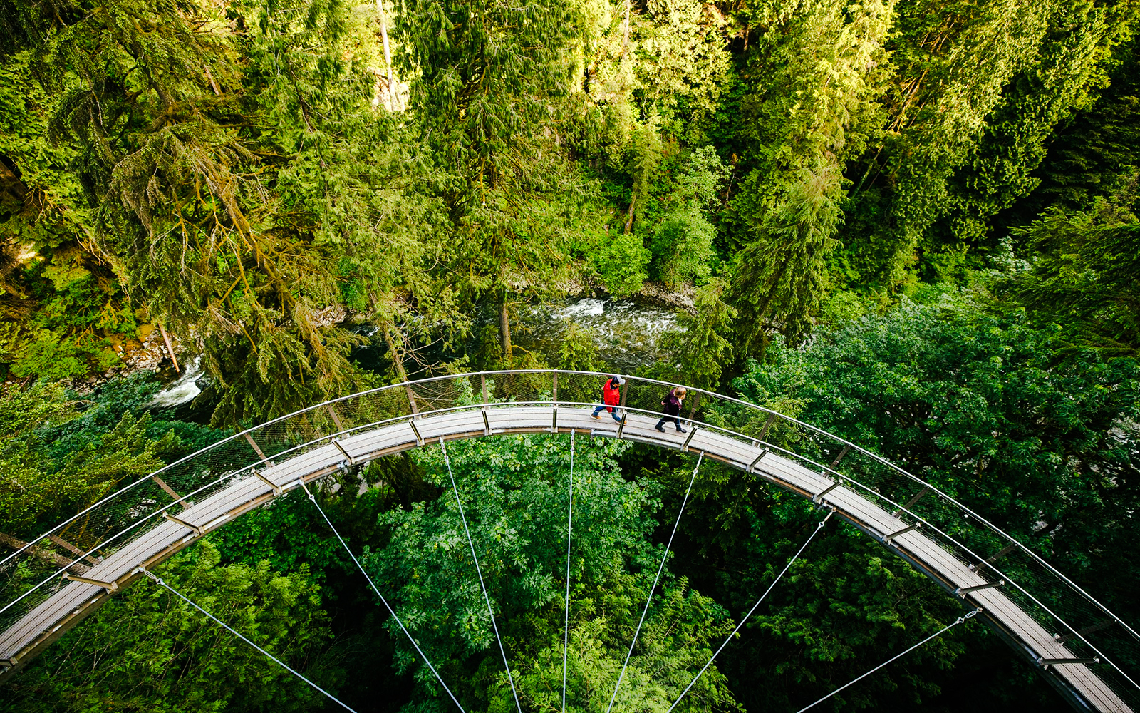 Visitors walking on the Capilano Suspension Bridge surrounded by lush forest in Vancouver, Canada.