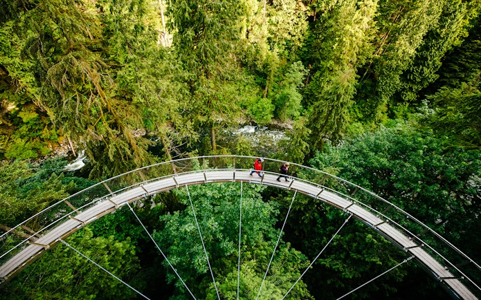 Visitors walking on the Capilano Suspension Bridge surrounded by lush forest in Vancouver, Canada.