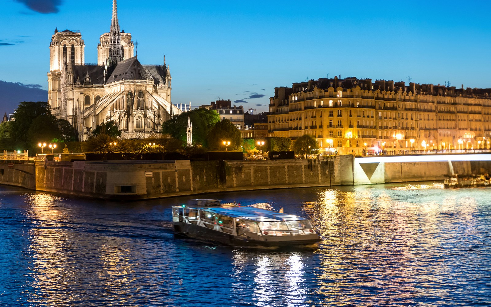 Bateau sur la Seine devant Notre-Dame de Paris la nuit