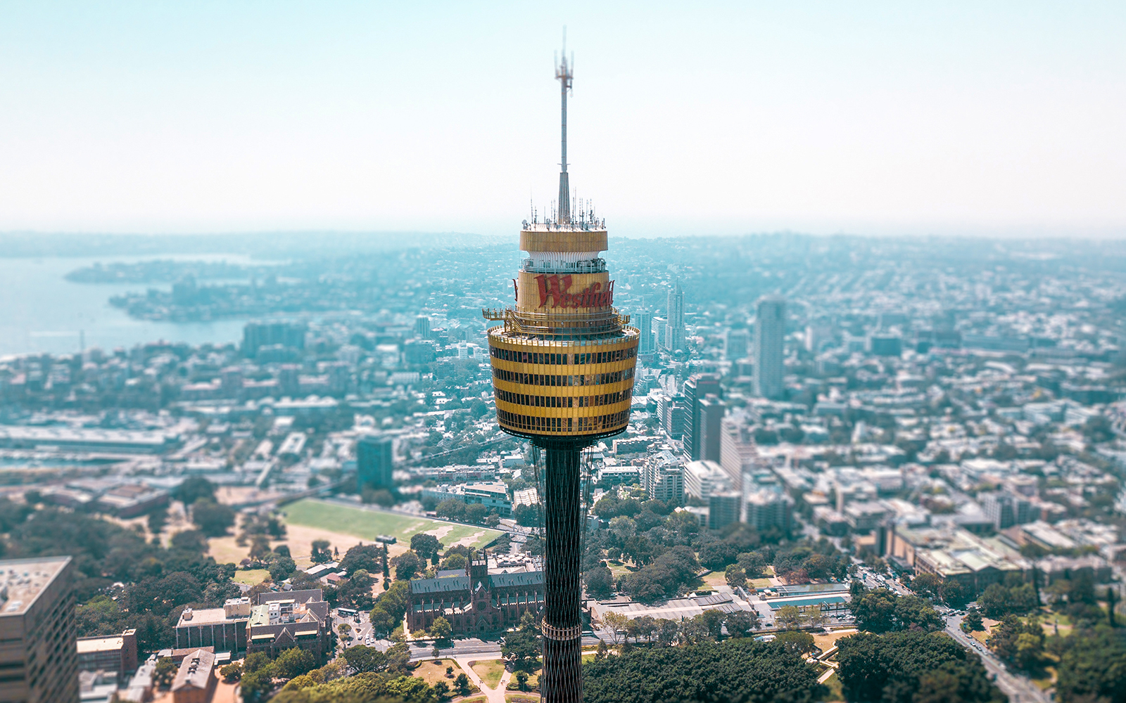 Sydney Tower Eye overlooking the cityscape, part of the Sydney Multi Attraction Pass.
