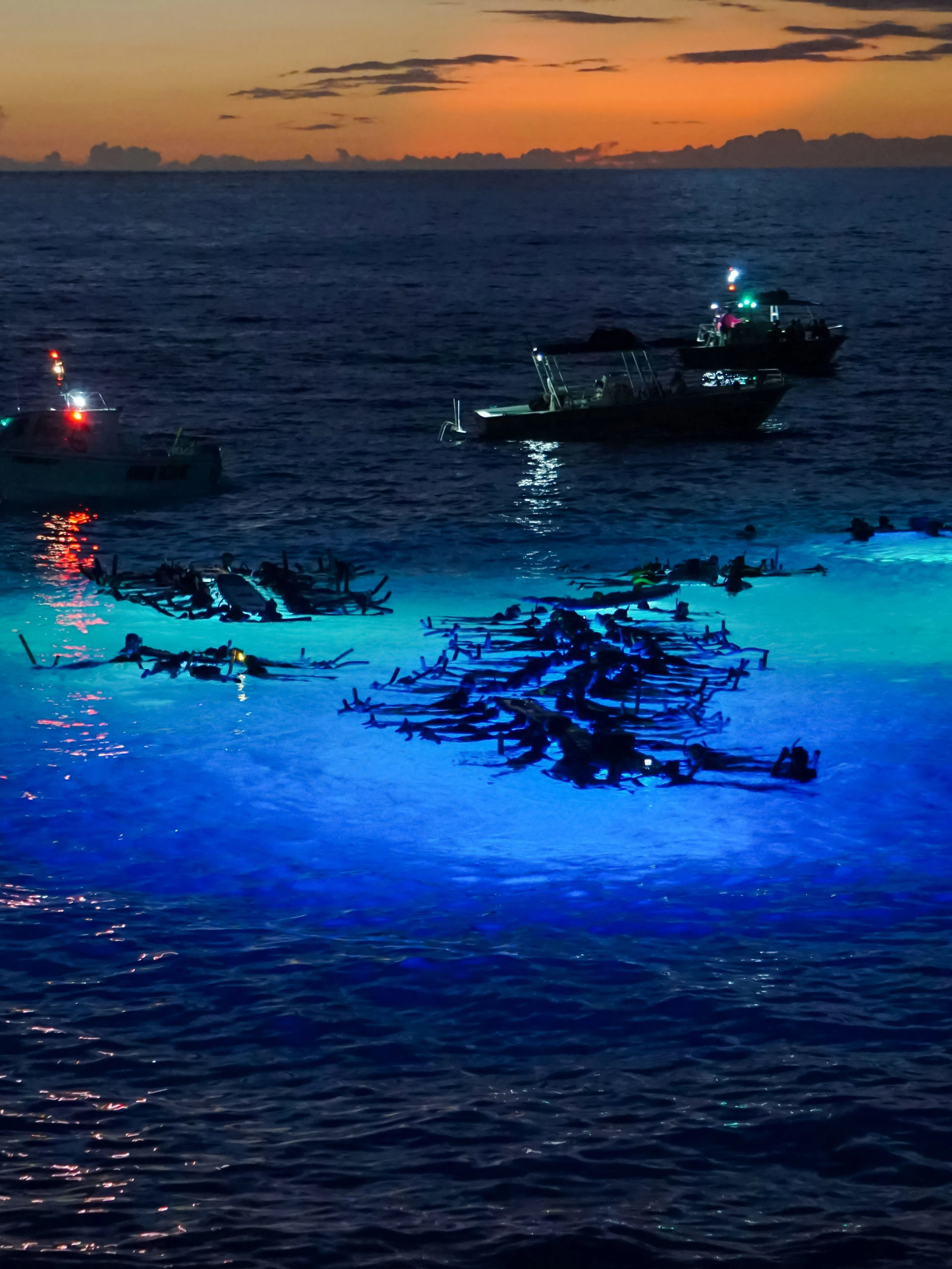 Snorkelers observe manta rays illuminated by boat lights at night in the ocean.